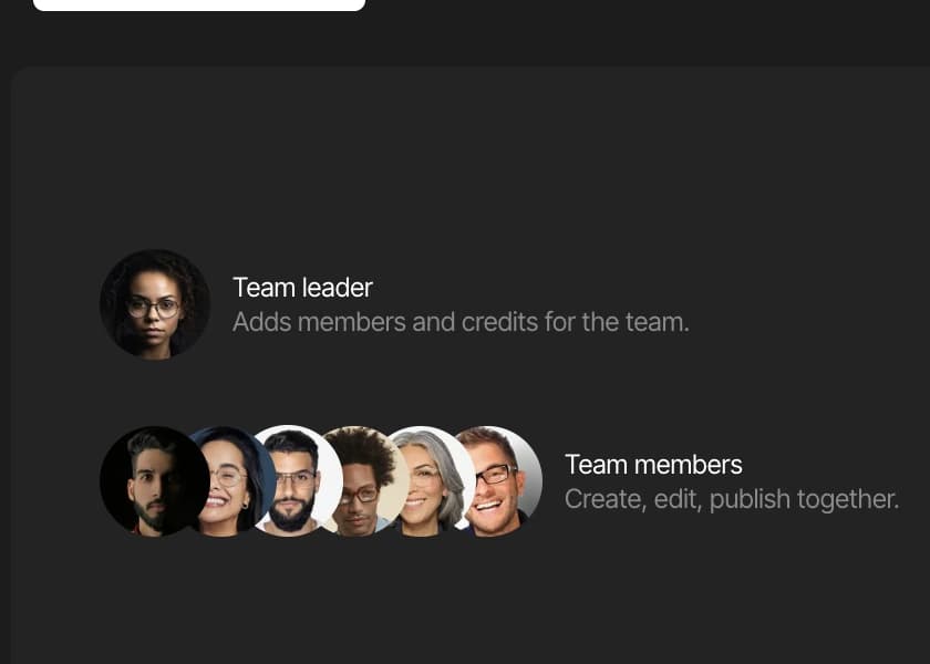 Team leader and team member profiles